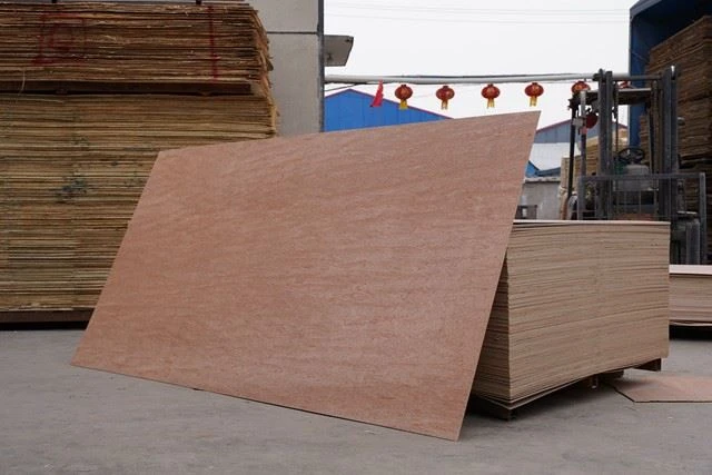 China / XinGang / Commercial Plywood