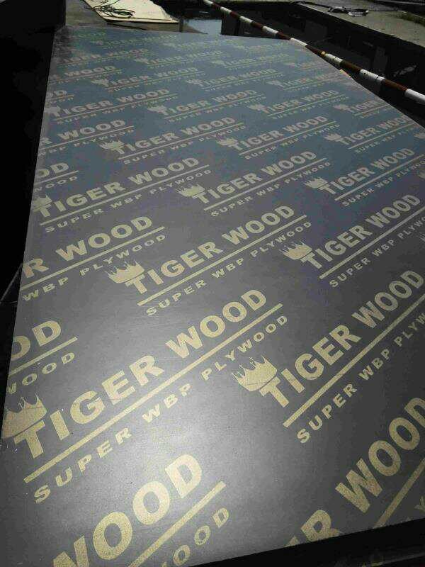 Phenolic Glue Hardwood Birch Core Film Faced Plywood
